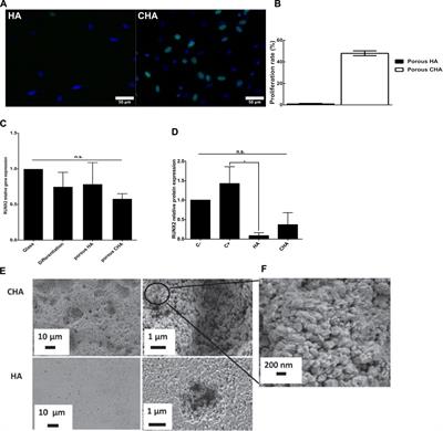 Calcium phosphate bioceramics: From cell behavior to chemical-physical properties